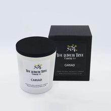 Load image into Gallery viewer, Peony Blush Candle, Peony and Suede Candle, Welsh Candles, natural non toxic candles