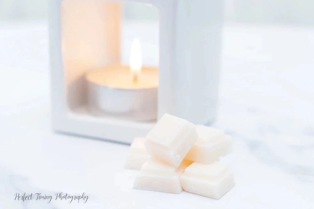 Best Sellers Melt Sample Selection -  8 Scented Wax Melt Pods